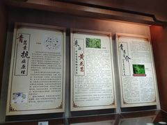 -广州神农草堂中医药博物馆