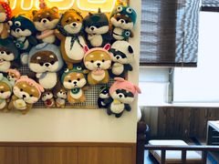 -豆柴町-柴犬主题狗咖(红鼎国际C座店)