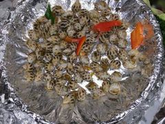 -水鸿汇休闲会所