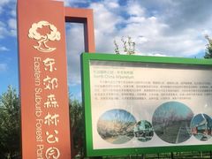 -东郊湿地公园