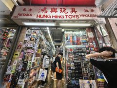 -鸿兴玩具