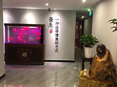 -金蚁康•经络调理•肩颈按摩(万达金街店)