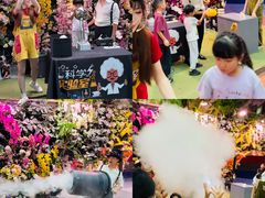 -正佳雨林生态植物园