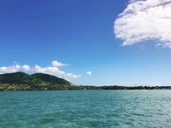 -塞尔夫岛