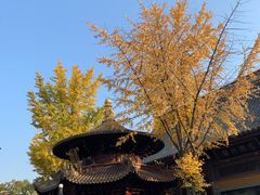 -西林禅寺