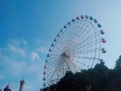 -温州乐园
