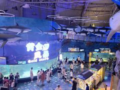 -烟台海昌鲸鲨海洋公园