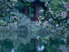 -莫愁湖公园