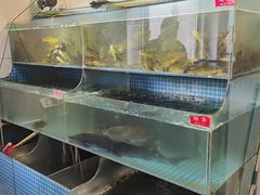 -大鹅岛灶台鱼·铁锅炖(水库路店)