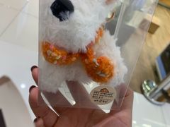 -新罗免税店