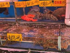 -四海之家(蛇口店)