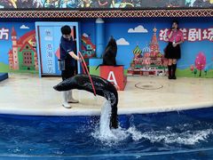 -成都浩海立方海洋公园