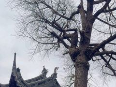-豫园