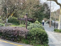 -九曜山