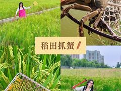 -阳澄湖半岛旅游度假区