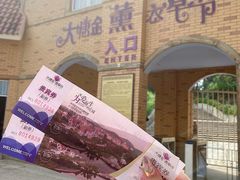 -大塘金香草谷