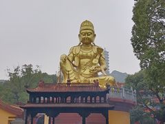 -岳阳市博物馆