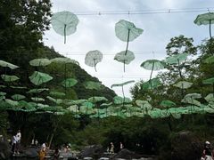 -石台牯牛降景区