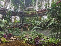 -昆明植物园