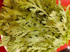 -四川简阳羊肉汤火锅(望花路西里店)