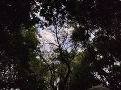 -番禺广场(市桥街道)