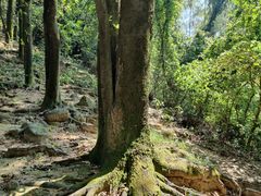 -火炉山森林公园