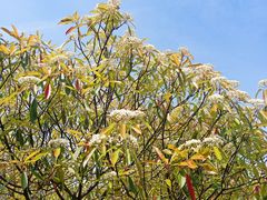-白塘生态植物园