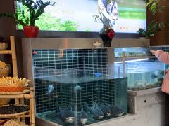 -老海陵·泰州菜(图书馆店)