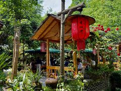 -青城甲(青城山店)