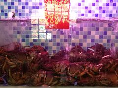 -船奇蒸汽海鲜·闽菜(八市海鲜总店)