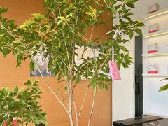 -代数学家algebraist(仙林金鹰店)