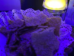 -288 Livehouse 酒吧(思南公馆店)