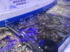 -澜悦港海鲜体验主题餐厅