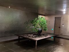 -隐溪茶馆(静安寺店)