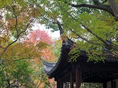 -秋霞圃
