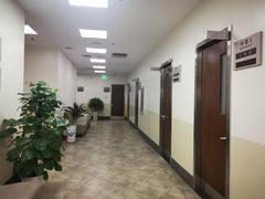 -美联众合动物医院·24h转诊中心