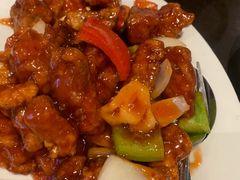 -食为先(Shark Fin)