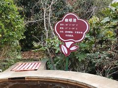 -大理地热国