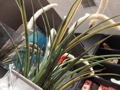 -Awfully Chocolate(嘉里城店)