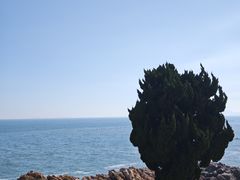 -小麦岛公园