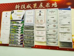 -童程童美少儿编程乐高机器人(凯德天府校区)