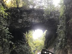 -梦幻奥陶纪景区