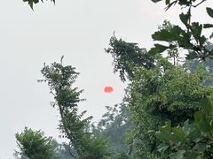 -紫金山天文台