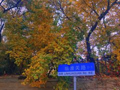 -八大关景区