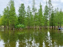 -白鹭湾湿地公园