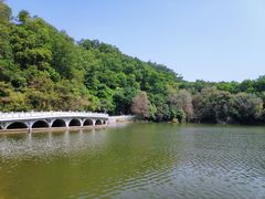 -深圳仙湖植物园