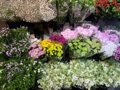 -花草间花行(法华镇路店)