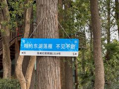 -东湖落雁景区