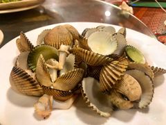 鸡腿螺-岛中岛·海鲜大排档·万宁老字号(东澳店)
