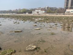 -仙浴湾广场